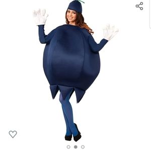 Forum novelties blueberry costume